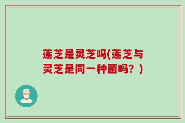 莲芝是灵芝吗(莲芝与灵芝是同一种菌吗？)