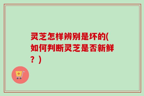 灵芝怎样辨别是坏的(如何判断灵芝是否新鲜？)