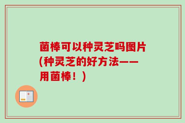 菌棒可以种灵芝吗图片(种灵芝的好方法——用菌棒!) 菌棒可以种灵芝吗图片(种灵芝的好方法——用菌棒!)