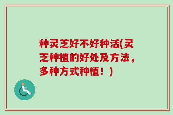 种灵芝好不好种活(灵芝种植的好处及方法,多种方式种植!) 种灵芝好不好种活(灵芝种植的好处及方法,多种方式种植!)
