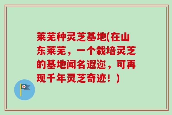 莱芜种灵芝基地(在山东莱芜，一个栽培灵芝的基地闻名遐迩，可再现千年灵芝奇迹！)