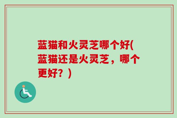 蓝猫和火灵芝哪个好(蓝猫还是火灵芝，哪个更好？)