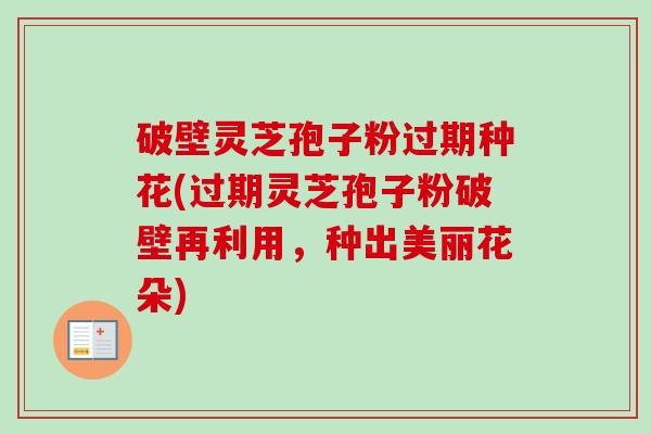破壁灵芝孢子粉过期种花(过期灵芝孢子粉破壁再利用,种出美丽花朵) 破壁灵芝孢子粉过期种花(过期灵芝孢子粉破壁再利用,种出美丽花朵)