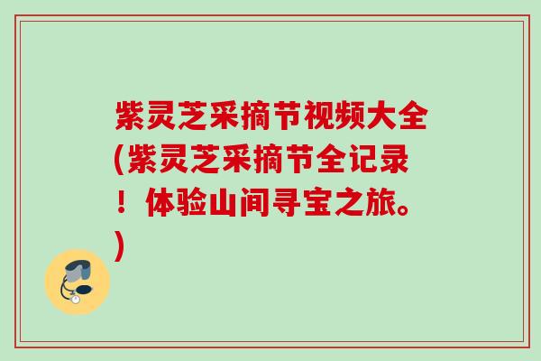 紫灵芝采摘节视频大全(紫灵芝采摘节全记录！体验山间寻宝之旅。)