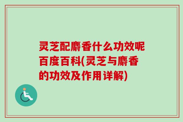 灵芝配麝香什么功效呢百度百科(灵芝与麝香的功效及作用详解)