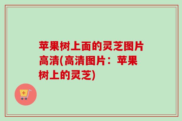 苹果树上面的灵芝图片高清(高清图片：苹果树上的灵芝)