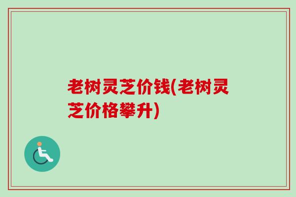 老树灵芝价钱(老树灵芝价格攀升)