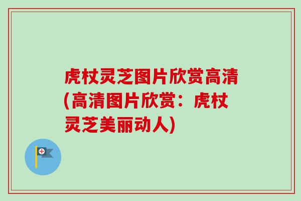 虎杖灵芝图片欣赏高清(高清图片欣赏：虎杖灵芝美丽动人)