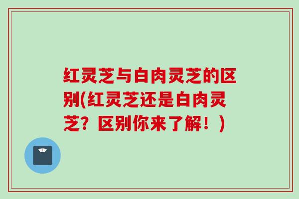 红灵芝与白肉灵芝的区别(红灵芝还是白肉灵芝？区别你来了解！)