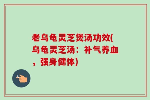 老乌龟灵芝煲汤功效(乌龟灵芝汤：补气养血，强身健体)