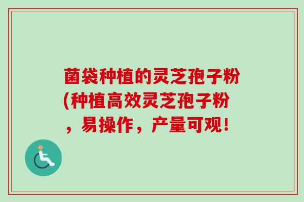 菌袋种植的灵芝孢子粉(种植高效灵芝孢子粉，易操作，产量可观！