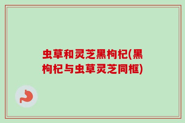 虫草和灵芝黑枸杞(黑枸杞与虫草灵芝同框) 虫草和灵芝黑枸杞(黑枸杞与虫草灵芝同框)