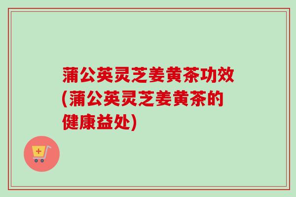 蒲公英灵芝姜黄茶功效(蒲公英灵芝姜黄茶的健康益处)