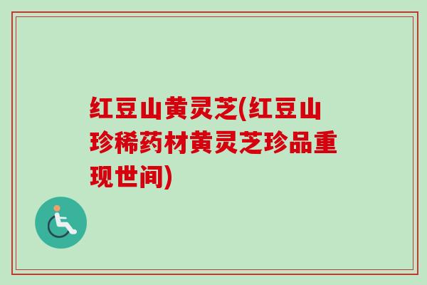 红豆山黄灵芝(红豆山珍稀药材黄灵芝珍品重现世间) 红豆山黄灵芝(红豆山珍稀药材黄灵芝珍品重现世间)