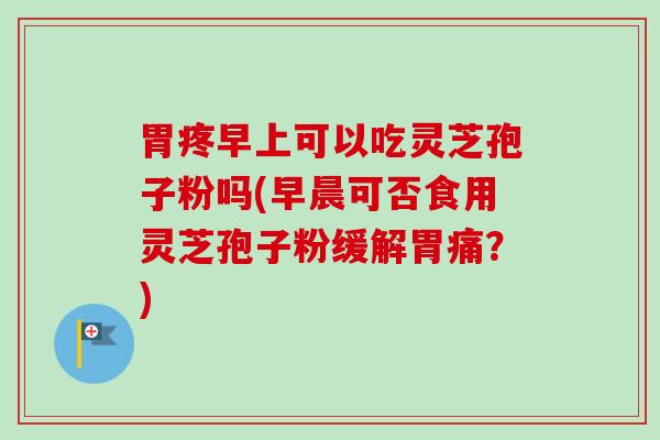 胃疼早上可以吃灵芝孢子粉吗(早晨可否食用灵芝孢子粉缓解胃痛?) 胃疼早上可以吃灵芝孢子粉吗(早晨可否食用灵芝孢子粉缓解胃痛?)