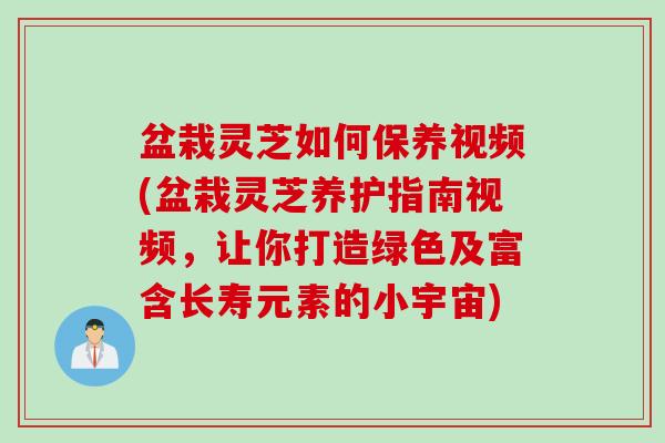 盆栽灵芝如何保养视频(盆栽灵芝养护指南视频，让你打造绿色及富含长寿元素的小宇宙)