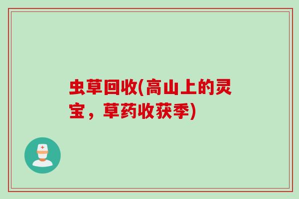 虫草回收(高山上的灵宝，草药收获季)