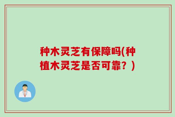 种木灵芝有保障吗(种植木灵芝是否可靠？)