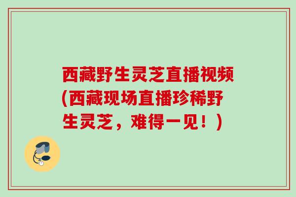 西藏野生灵芝直播视频(西藏现场直播珍稀野生灵芝，难得一见！)