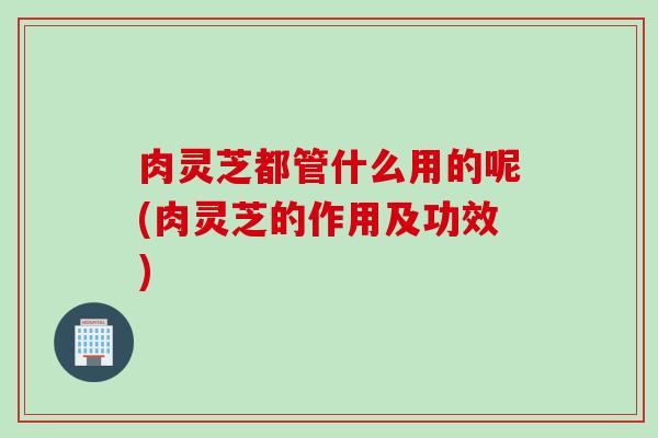 肉灵芝都管什么用的呢(肉灵芝的作用及功效)