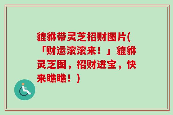 貔貅带灵芝招财图片(「财运滚滚来！」貔貅灵芝图，招财进宝，快来瞧瞧！)