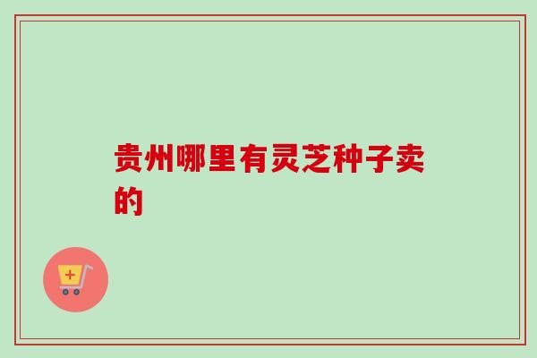 贵州哪里有灵芝种子卖的 贵州哪里有灵芝种子卖的