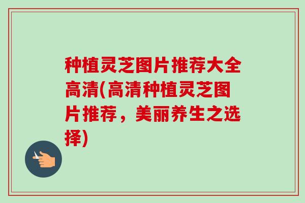 种植灵芝图片推荐大全高清(高清种植灵芝图片推荐,美丽养生之选择) 种植灵芝图片推荐大全高清(高清种植灵芝图片推荐,美丽养生之选择)