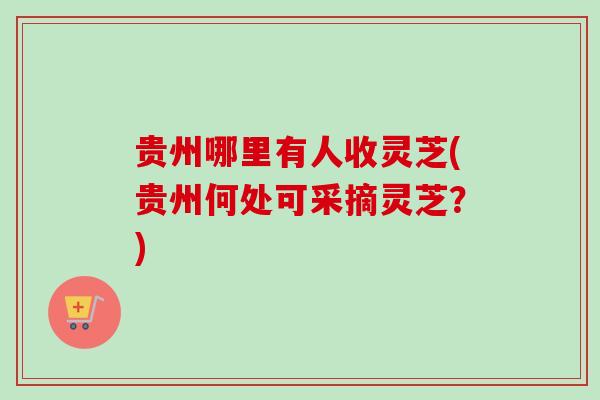 贵州哪里有人收灵芝(贵州何处可采摘灵芝?) 贵州哪里有人收灵芝(贵州何处可采摘灵芝?)