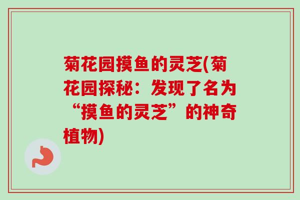 菊花园摸鱼的灵芝(菊花园探秘：发现了名为“摸鱼的灵芝”的神奇植物)