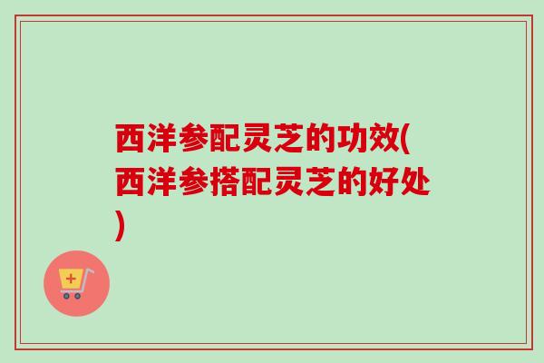 西洋参配灵芝的功效(西洋参搭配灵芝的好处)