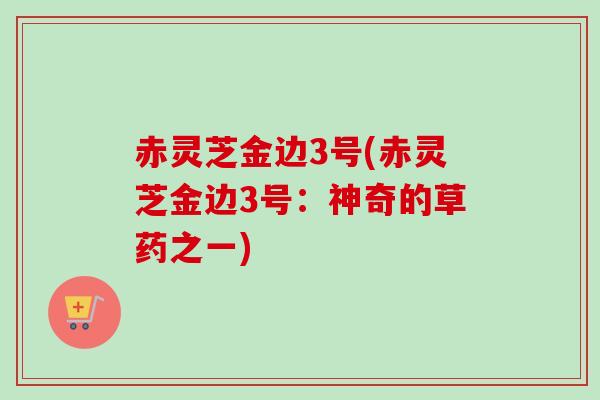 赤灵芝金边3号(赤灵芝金边3号:神奇的草药之一) 赤灵芝金边3号(赤灵芝金边3号:神奇的草药之一)