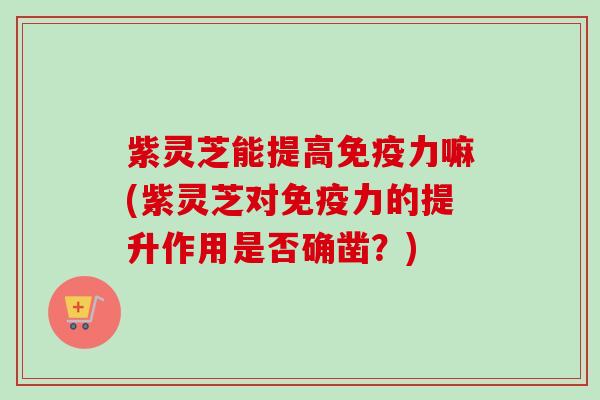 紫灵芝能提高免疫力嘛(紫灵芝对免疫力的提升作用是否确凿？)