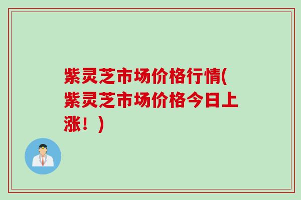 紫灵芝市场价格行情(紫灵芝市场价格今日上涨！)