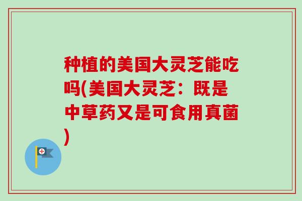 种植的美国大灵芝能吃吗(美国大灵芝：既是中草药又是可食用真菌)