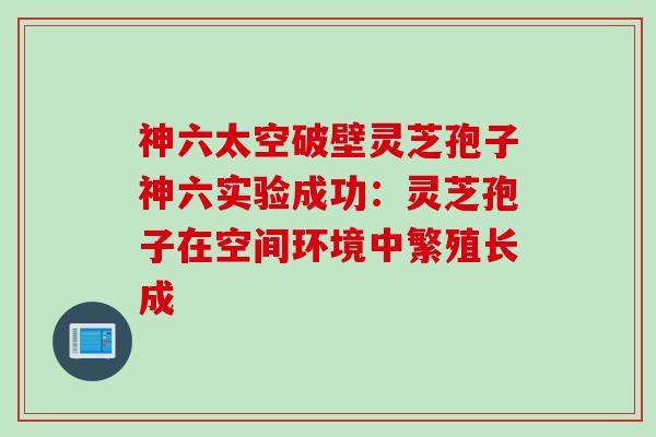 神六太空破壁灵芝孢子神六实验成功:灵芝孢子在空间环境中繁殖长成 神六太空破壁灵芝孢子神六实验成功:灵芝孢子在空间环境中繁殖长成