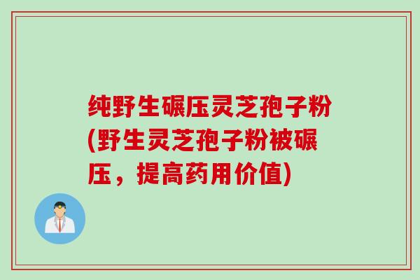纯野生碾压灵芝孢子粉(野生灵芝孢子粉被碾压，提高药用价值)