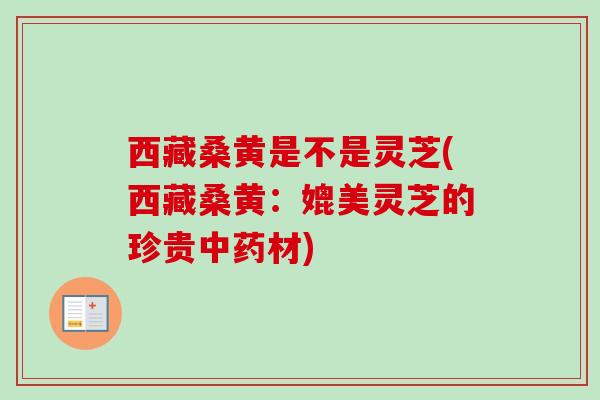 西藏桑黄是不是灵芝(西藏桑黄:媲美灵芝的珍贵材) 西藏桑黄是不是灵芝(西藏桑黄:媲美灵芝的珍贵材)