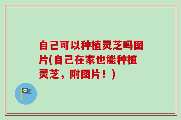 自己可以种植灵芝吗图片(自己在家也能种植灵芝，附图片！)