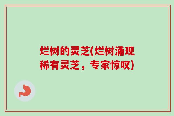 烂树的灵芝(烂树涌现稀有灵芝，专家惊叹)