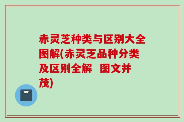 赤灵芝种类与区别大全图解(赤灵芝品种分类及区别全解  图文并茂)