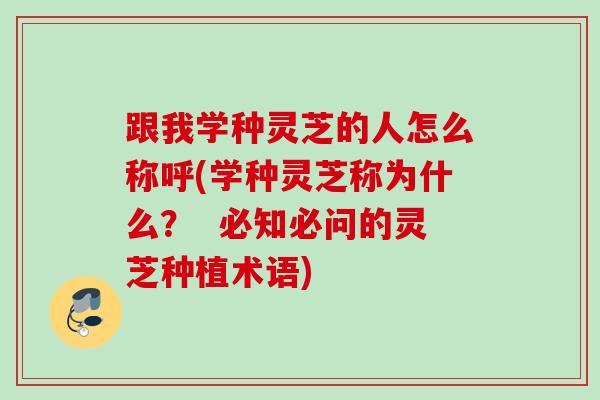 跟我学种灵芝的人怎么称呼(学种灵芝称为什么？  必知必问的灵芝种植术语)