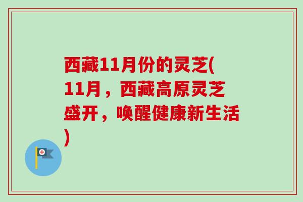 西藏11月份的灵芝(11月,西藏高原灵芝盛开,唤醒健康新生活) 西藏11月份的灵芝(11月,西藏高原灵芝盛开,唤醒健康新生活)