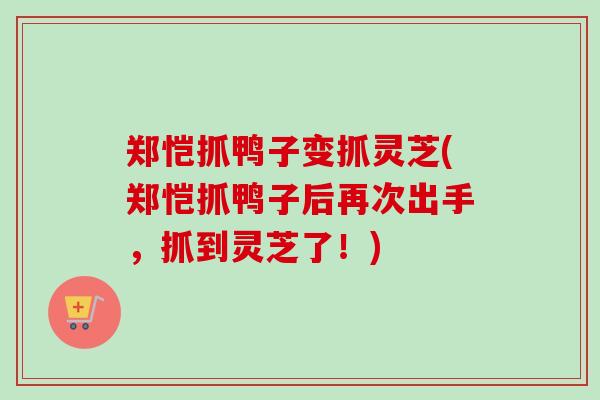 郑恺抓鸭子变抓灵芝(郑恺抓鸭子后再次出手，抓到灵芝了！)