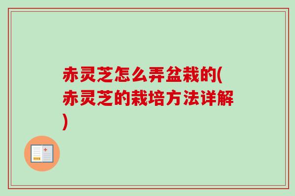 赤灵芝怎么弄盆栽的(赤灵芝的栽培方法详解) 赤灵芝怎么弄盆栽的(赤灵芝的栽培方法详解)