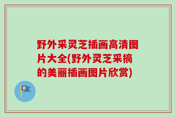 野外采灵芝插画高清图片大全(野外灵芝采摘的美丽插画图片欣赏)