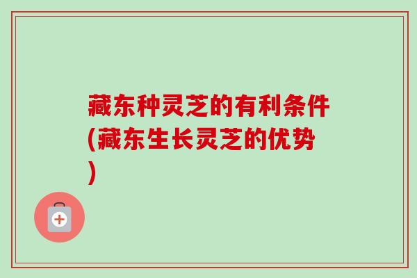 藏东种灵芝的有利条件(藏东生长灵芝的优势) 藏东种灵芝的有利条件(藏东生长灵芝的优势)