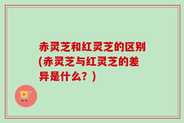 赤灵芝和红灵芝的区别(赤灵芝与红灵芝的差异是什么？)
