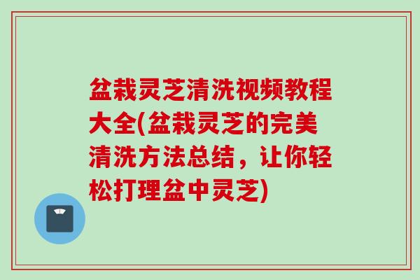 盆栽灵芝清洗视频教程大全(盆栽灵芝的完美清洗方法总结，让你轻松打理盆中灵芝)