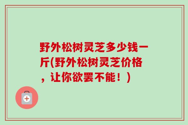 野外松树灵芝多少钱一斤(野外松树灵芝价格，让你欲罢不能！)