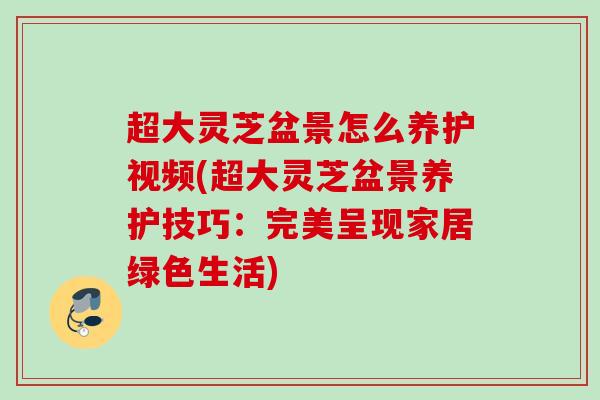 超大灵芝盆景怎么养护视频(超大灵芝盆景养护技巧：完美呈现家居绿色生活)